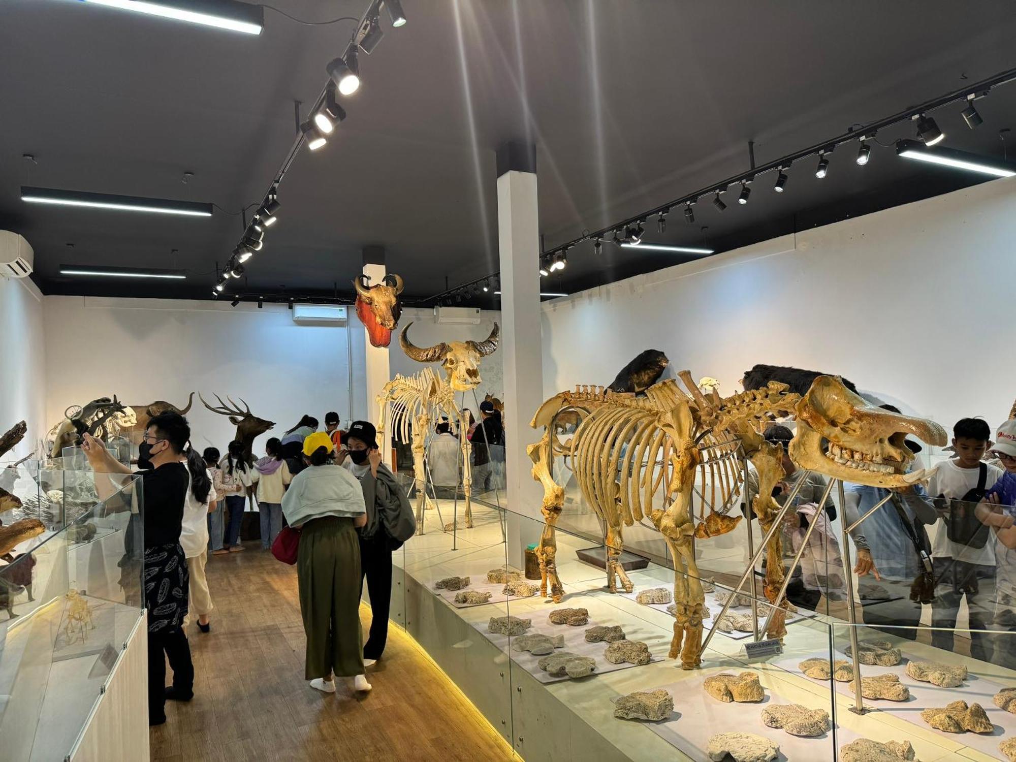 Lava Rock Viet Nam Lodge Anhfly Resort Nam Cat Tien Εξωτερικό φωτογραφία